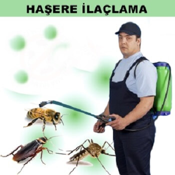 Isparta Böcek İlaçlama